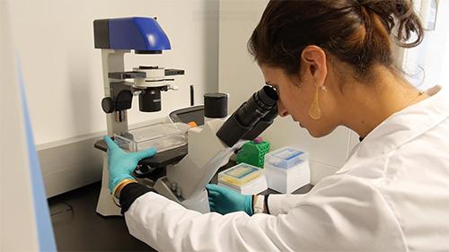 A brunette female research scientist looking through a microscope.